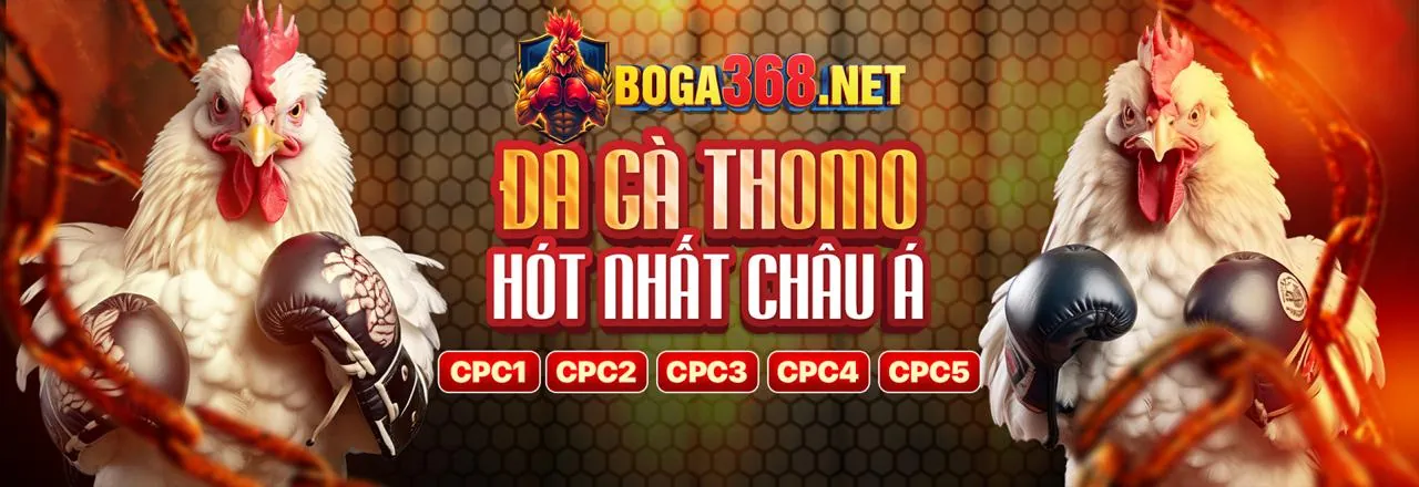 Chính sách Cookie của FCB8 khuyến mãi, bảo mật dữ liệu người dùng